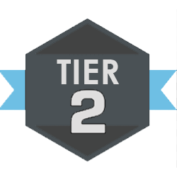 Tier 2