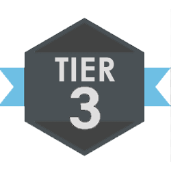 Tier 3