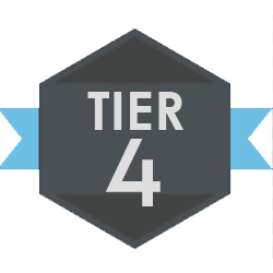 Tier 4